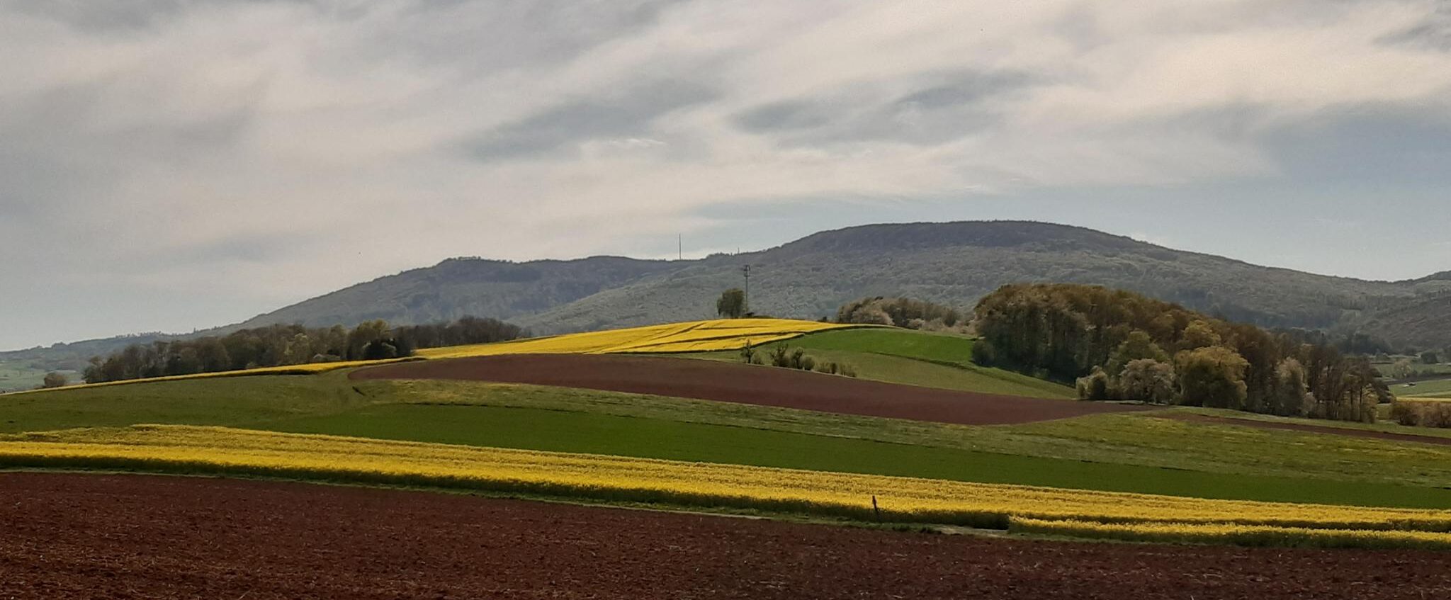 Ein Bild mit dem Hohen Meißner im Hintergrund.